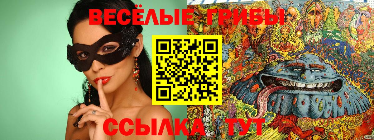 Псилоцибиновые грибы Psilocybine cubensis  Галлюциногенные грибы GOLDEN TEACHER  Вход с VPN  где купить наркоту  Феодосия 