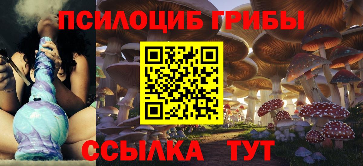 Галлюциногенные грибы Psilocybine cubensis Феодосия